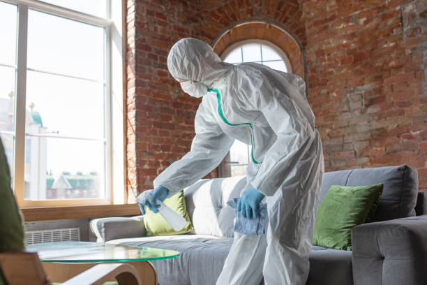 Best Environmental Consulting for Mold Prevention  in Unionville, MO